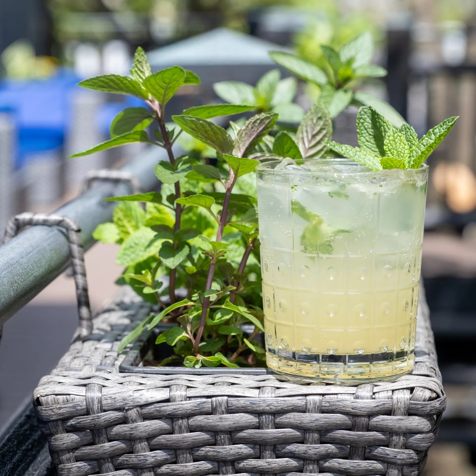 Baja Craft Kitchen Gallery