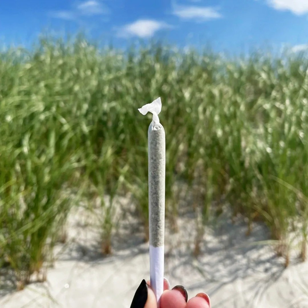 Marijuana and Serotonin Why Weed Works for Anxiety