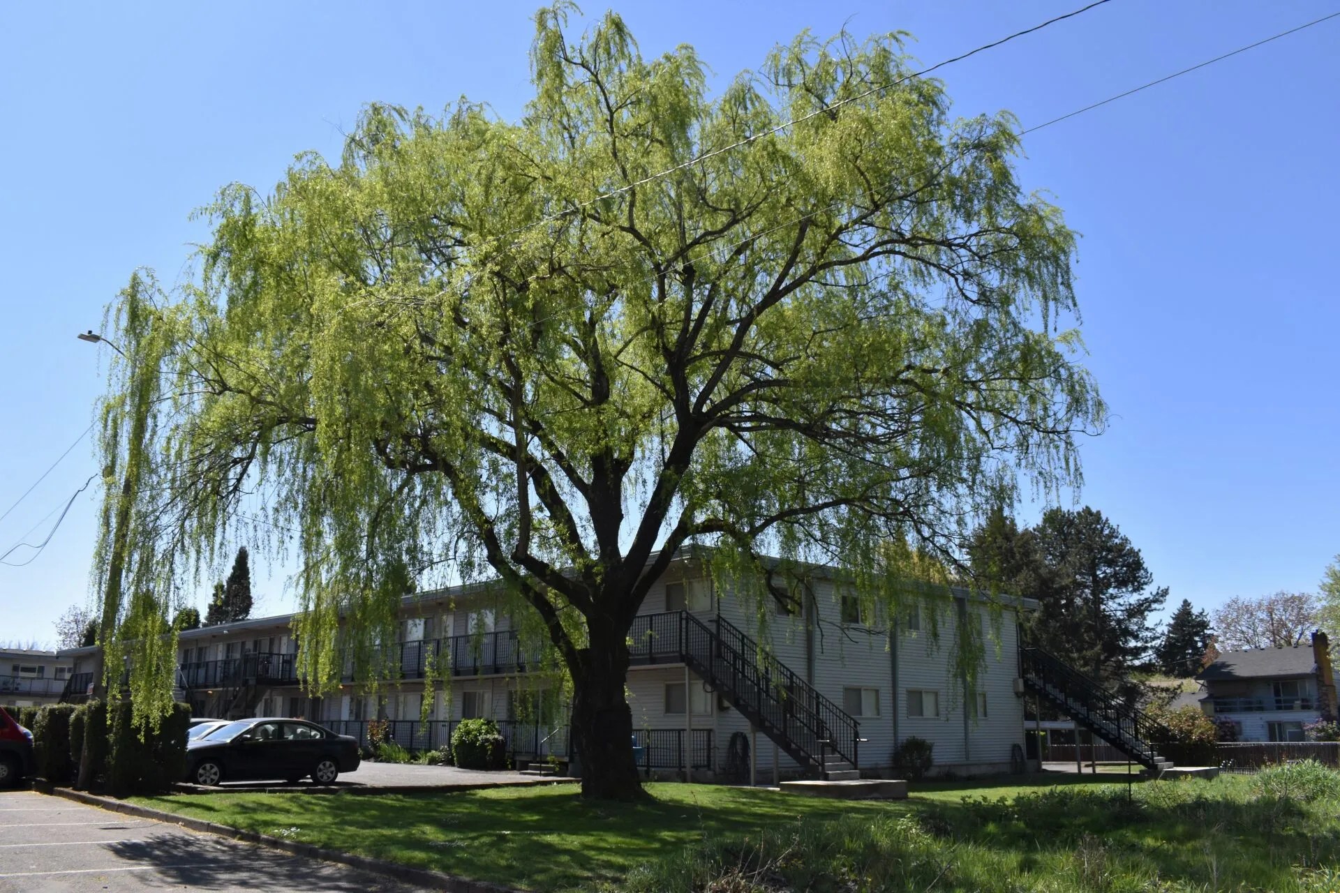 Crystal Springs Apartments Circum Pacific Properties, LLC