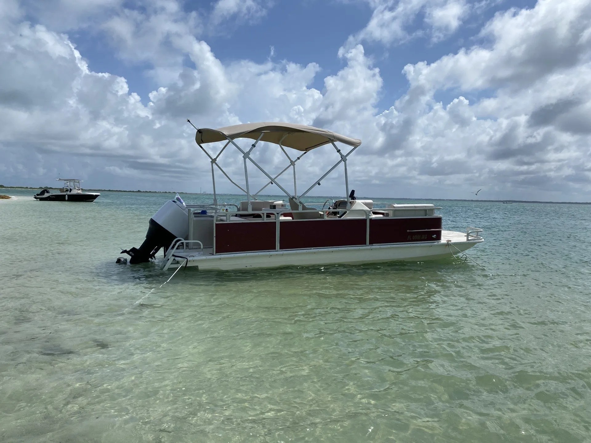 Boat Adventures Clearwater, FL Island Boat Tours