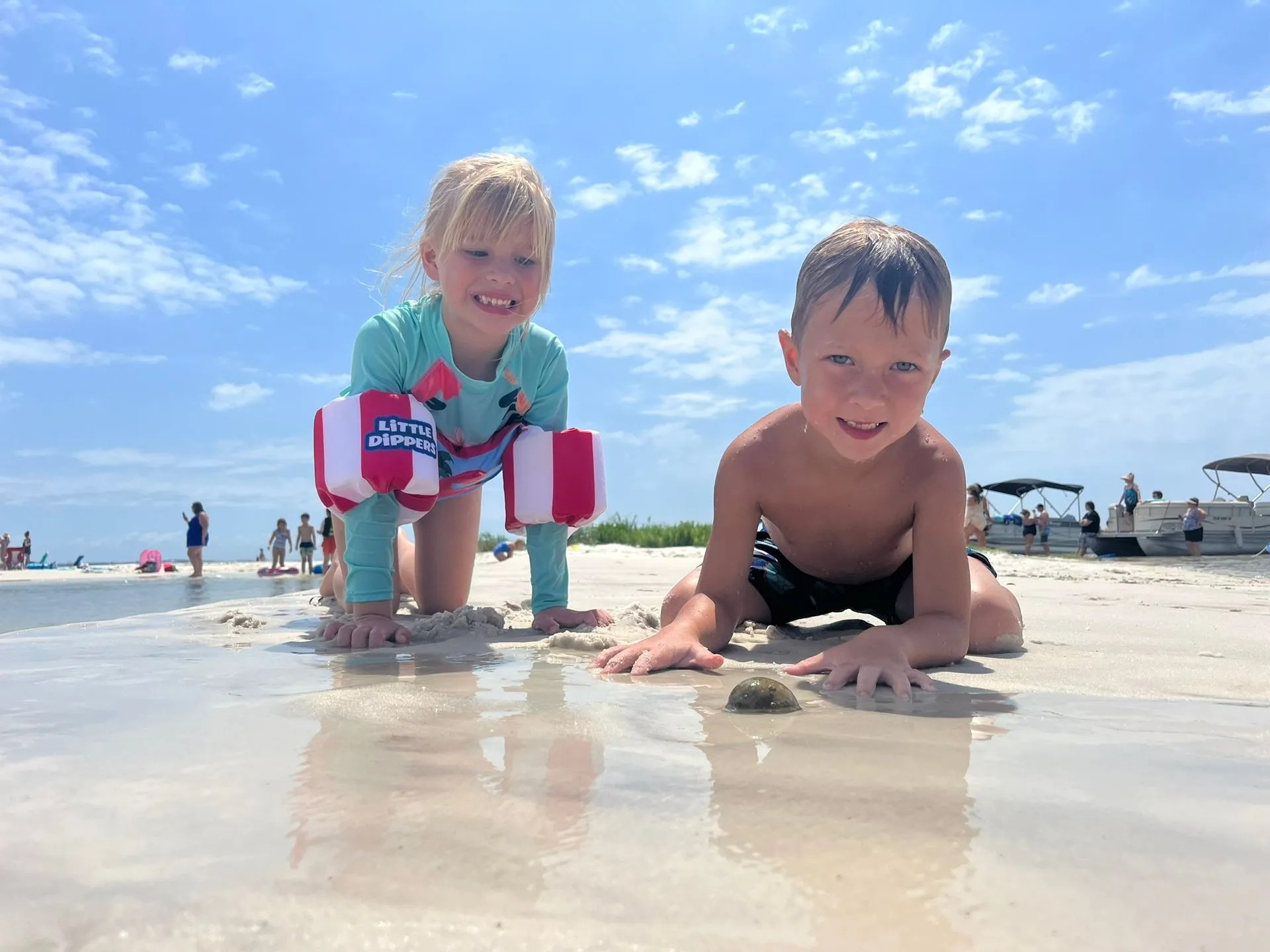 3 Hr Dolphin Safari Birthday Celebration on Bird Island Orange Beach