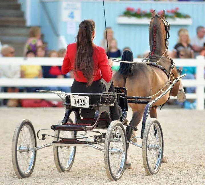 The AHHS Meet the Hackney