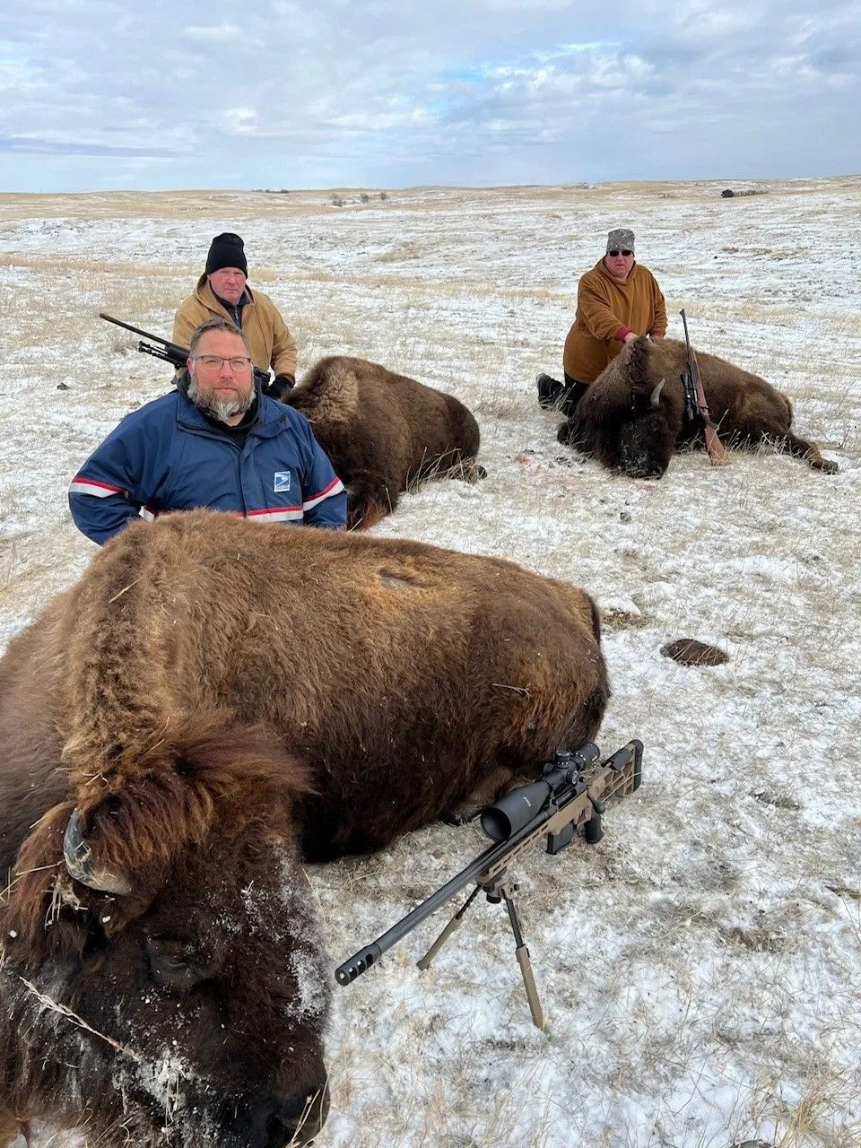 Bison Hunts Buffalo hunts Bison Hunting Buffalo Hunting