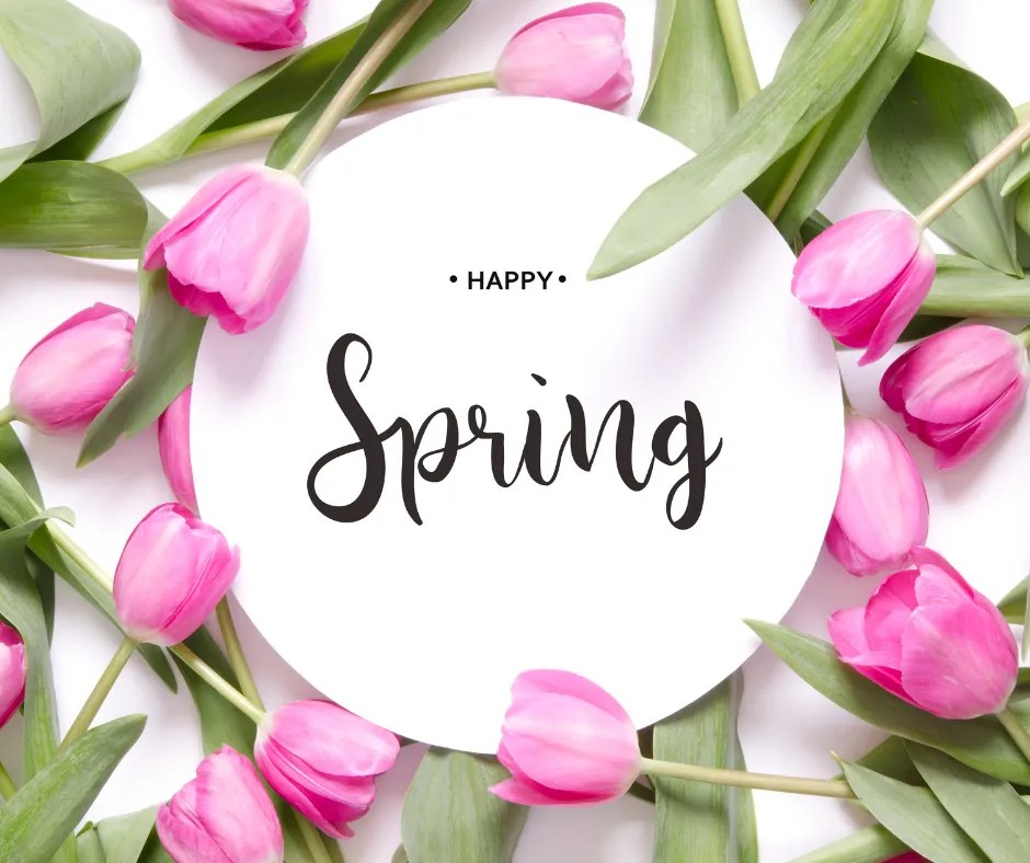 Ten Interesting Facts About Spring