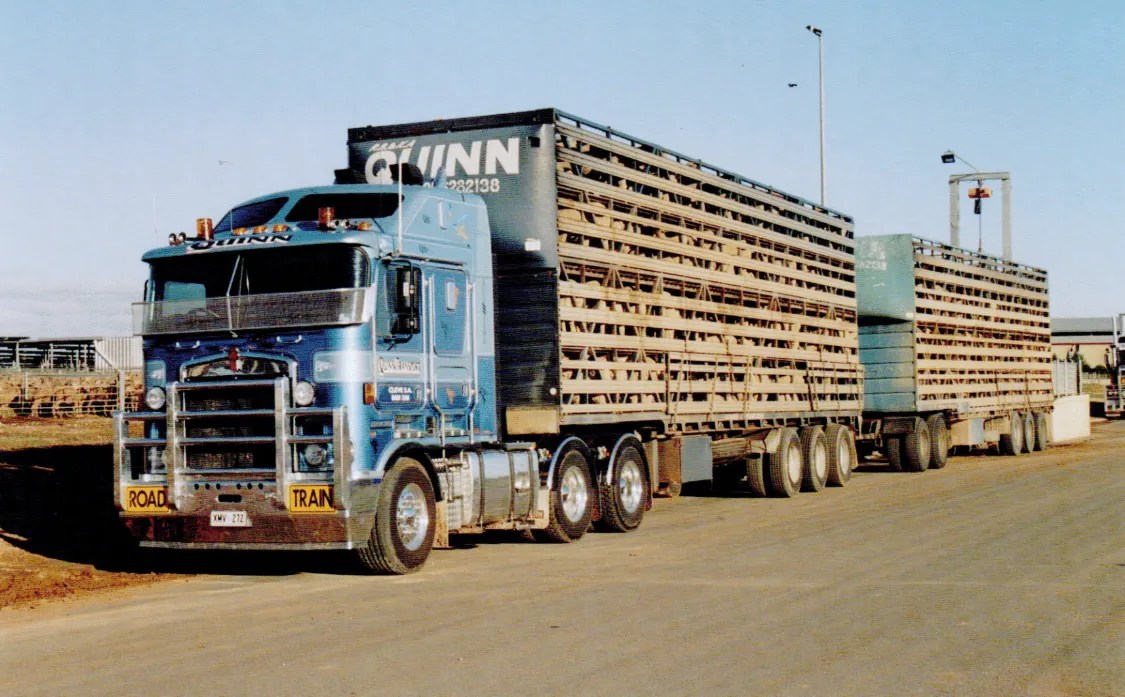 Livestock Transport