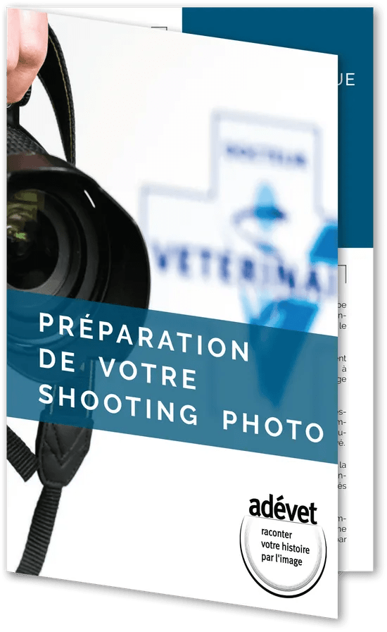 Organiser un shooting photo dans la clinique vétérinaire