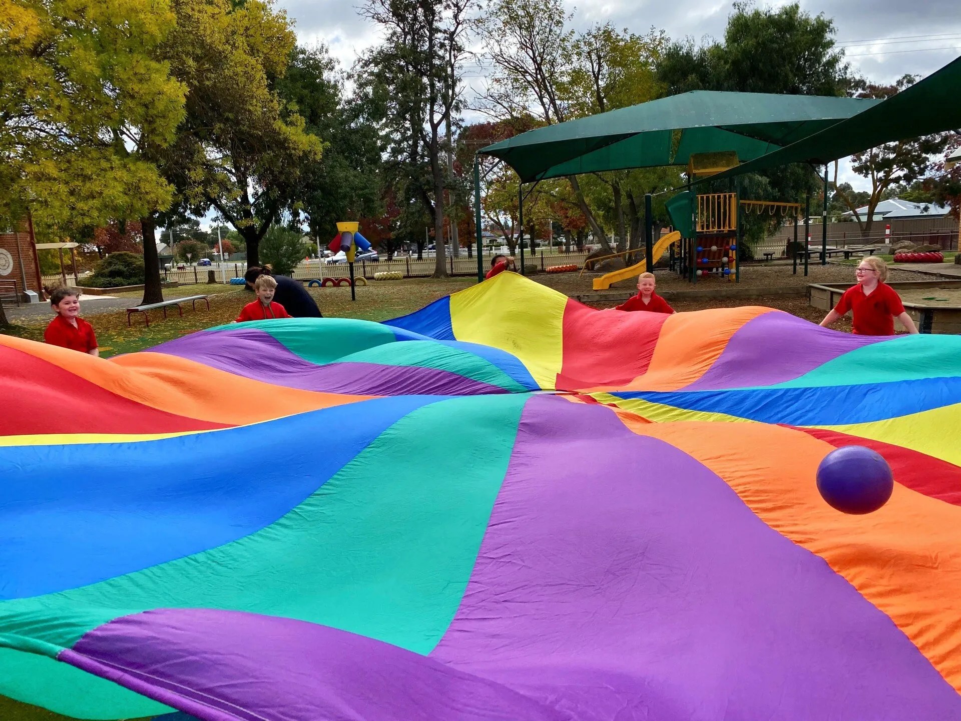 to Carisbrook Primary School! Carisbrook Primary School