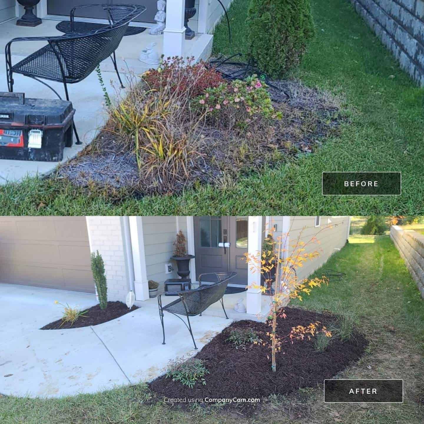 Weed Control Services in Chattanooga, Tennessee