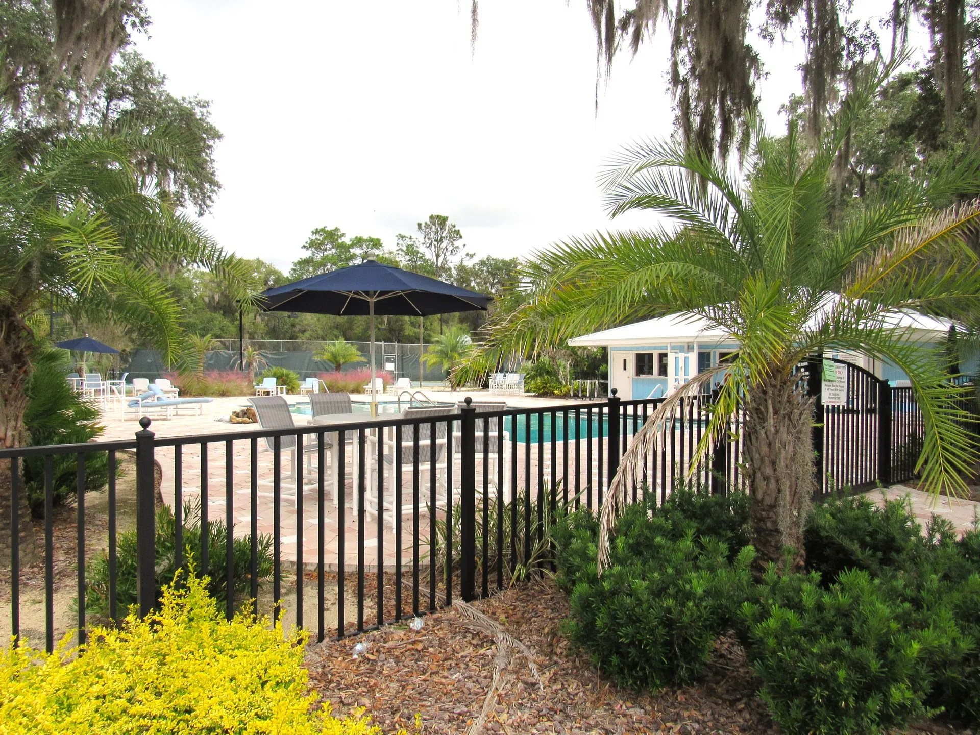 Rainbow Springs Real Estate Dunnellon, FL RSRG