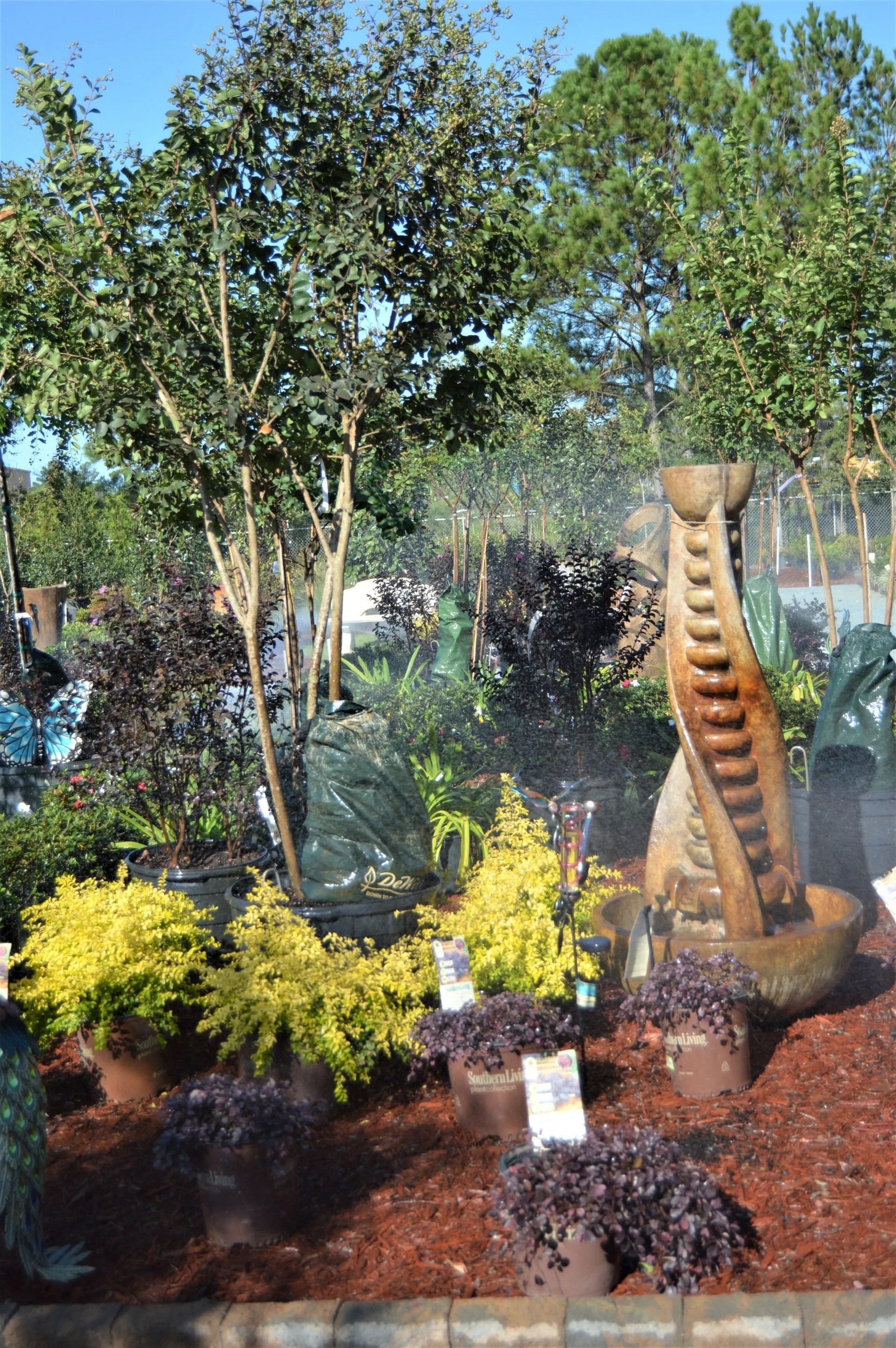 Nursery & Garden Center Wilmington and Leland, NC Bloomin' Crazy