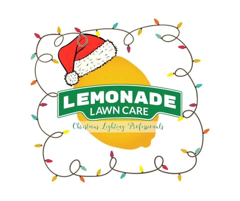 New Braunfels Christmas Light Installation Holiday Light Installation