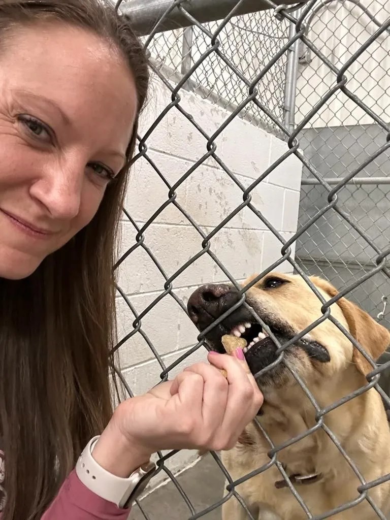 Paws for Life Animal RescueRiverton Animal Adoption Center & Lander