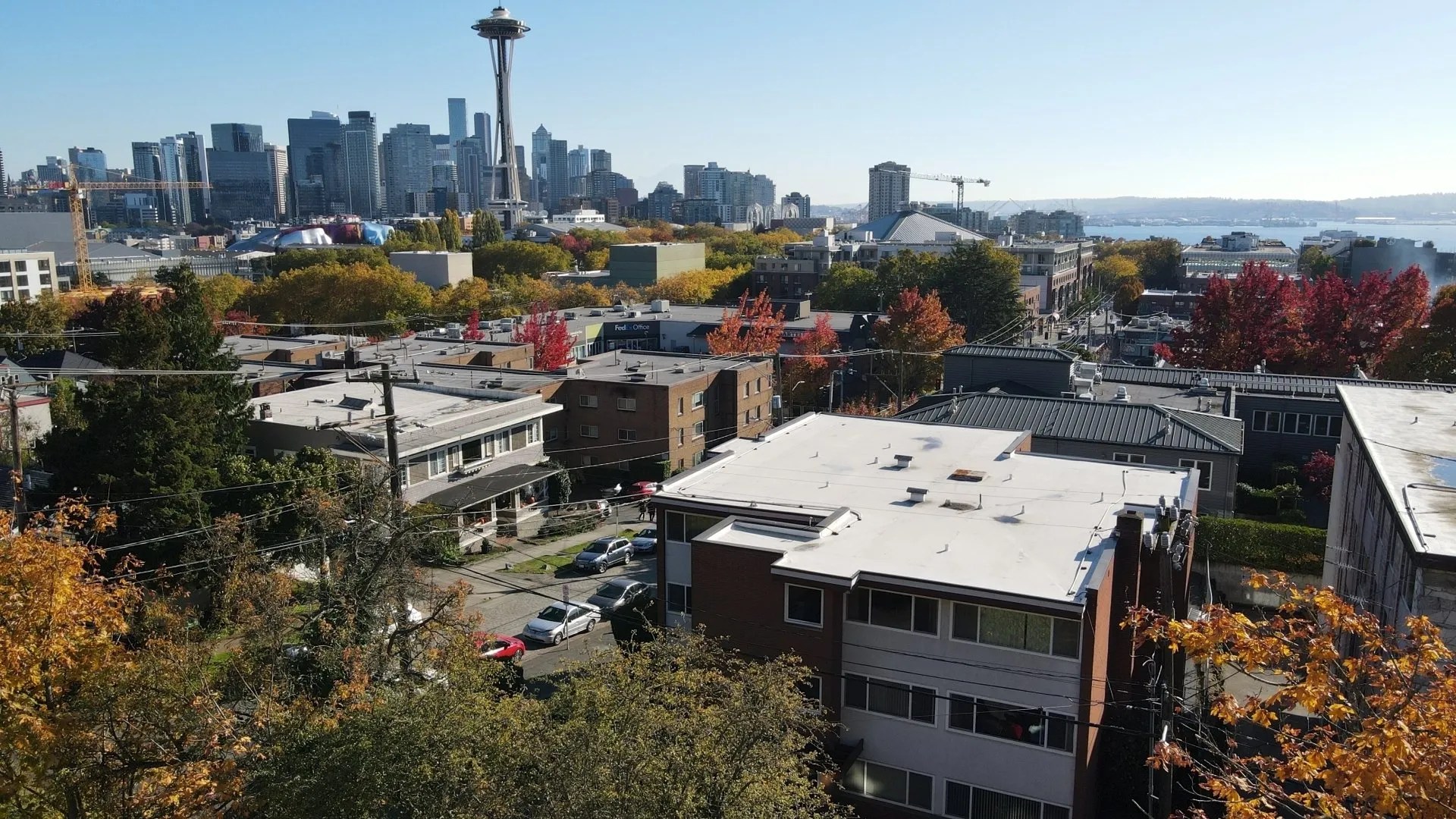 Our Team Opal Blue Real Estate