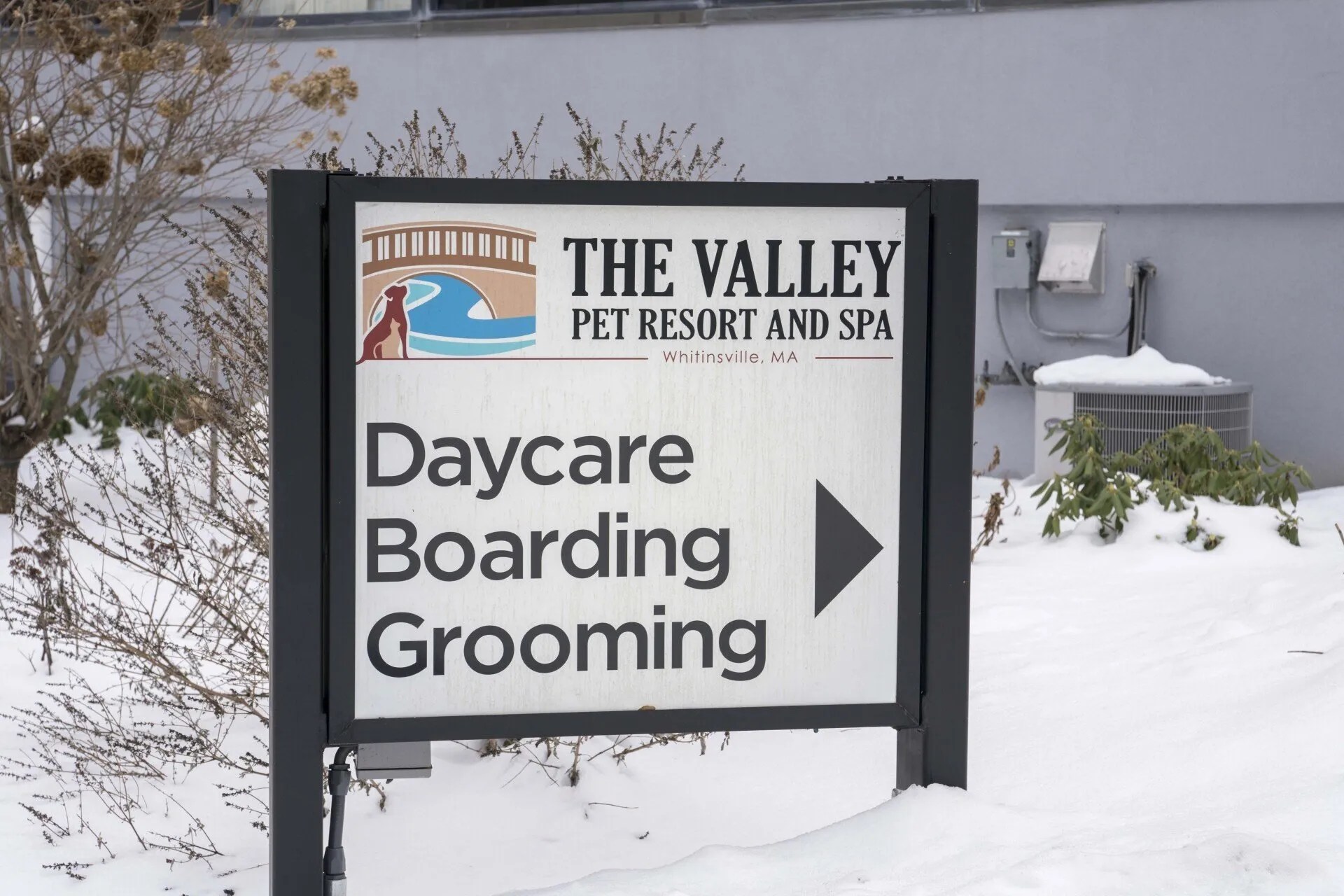 The Valley Pet Resort and Spa Pictures