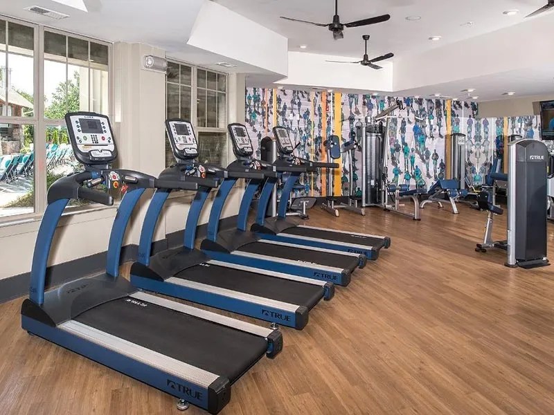 PetFriendly Apartments Silver Collection at the Park Huntersville, NC