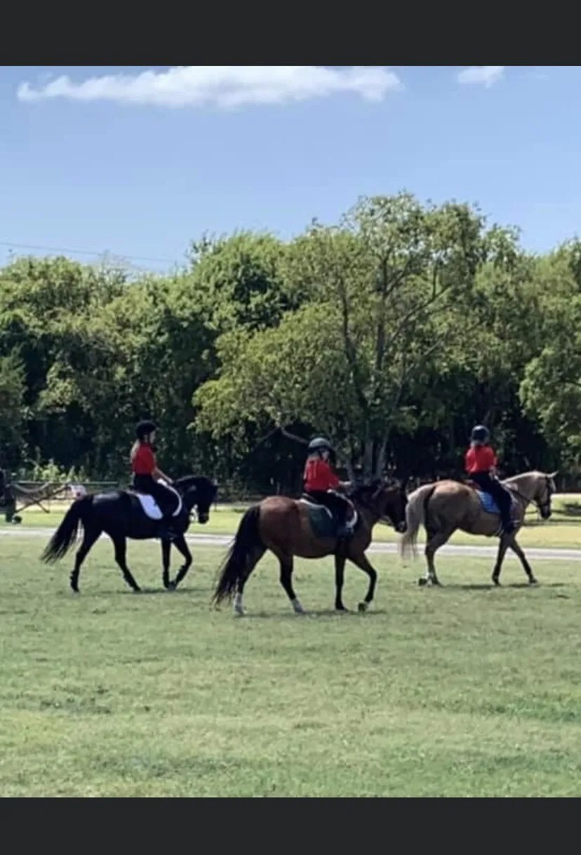 Gallery Green Trees Farm