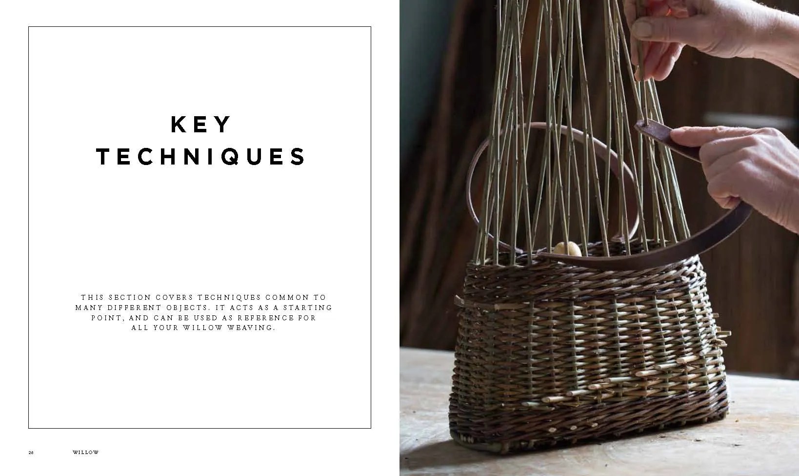 Jenny Crisp Basket Maker & Willow Grower