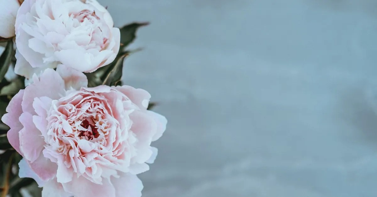 SmithLeRoy Funeral Home Woodstock, ON