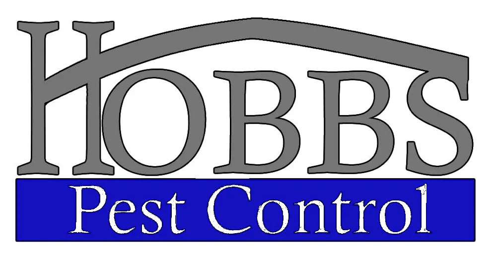 Pest Control United States Clear Pest Solutions