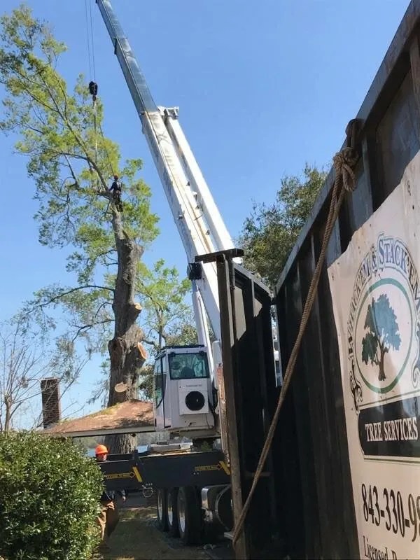 Tree Removal Summerville, SC Whackem & Stackem Tree Service