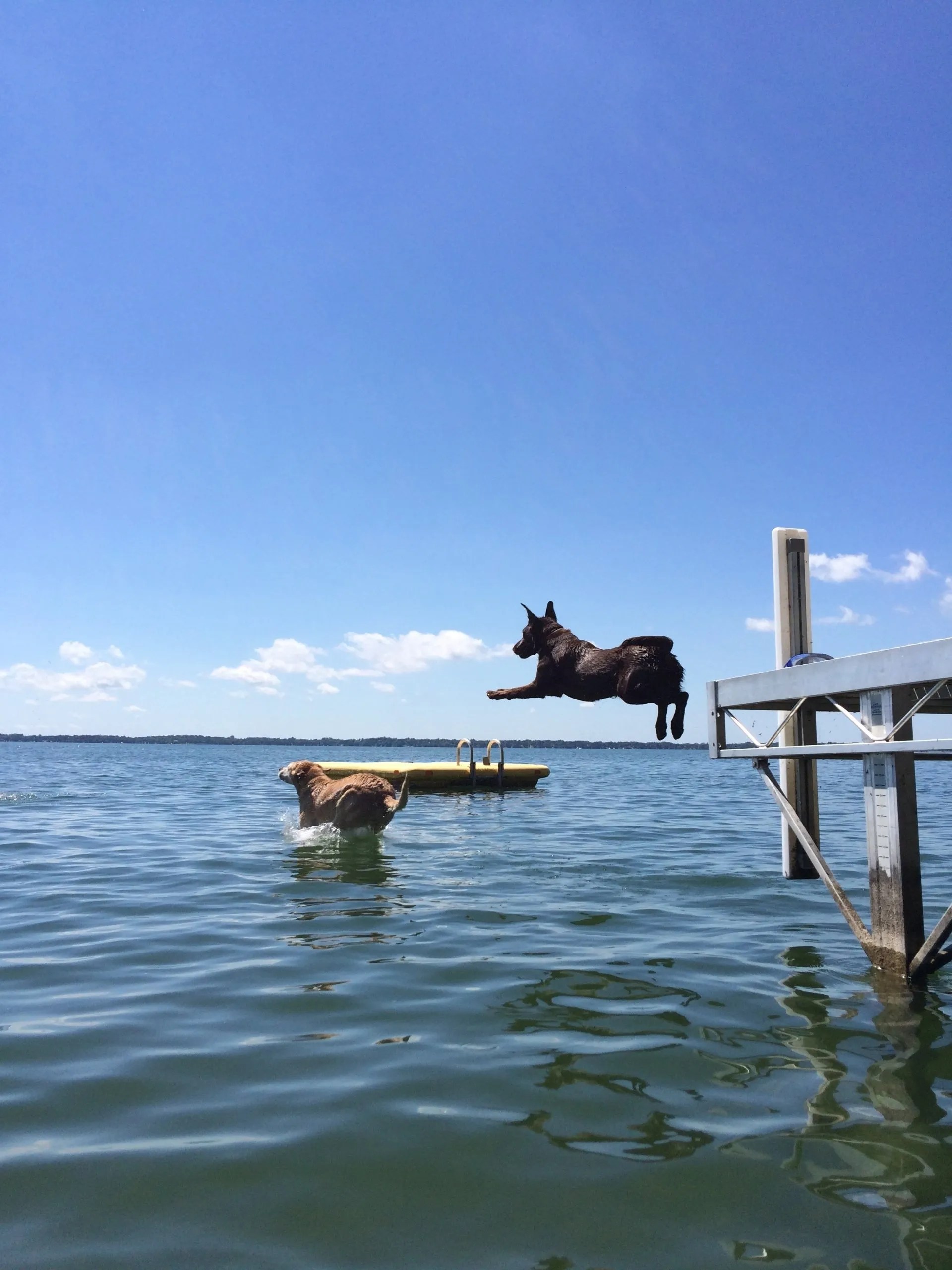 About the Lake Green Lake Property Owners Association