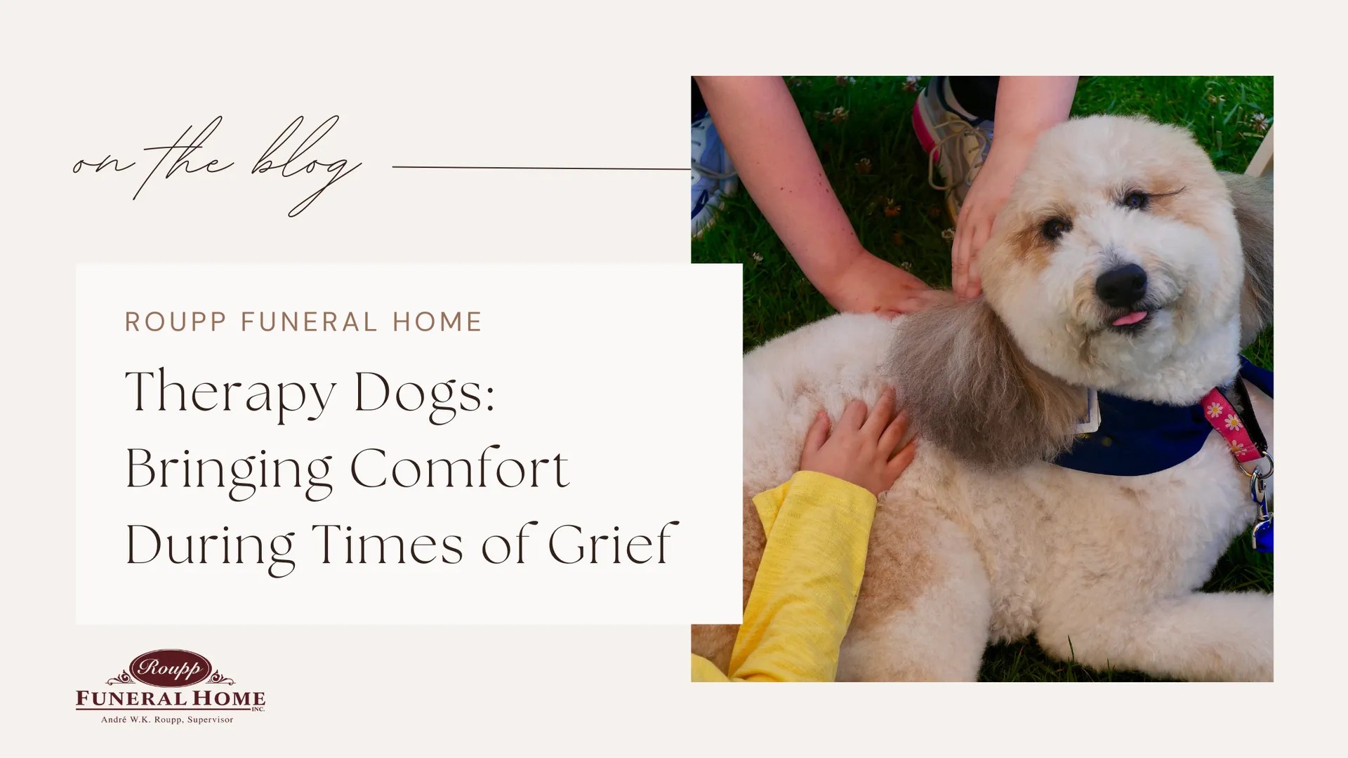 Therapy Dogs Bringing Comfort During Times of Grief