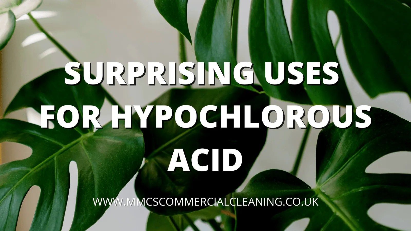 Surprising Uses for Hypochlorous Acid