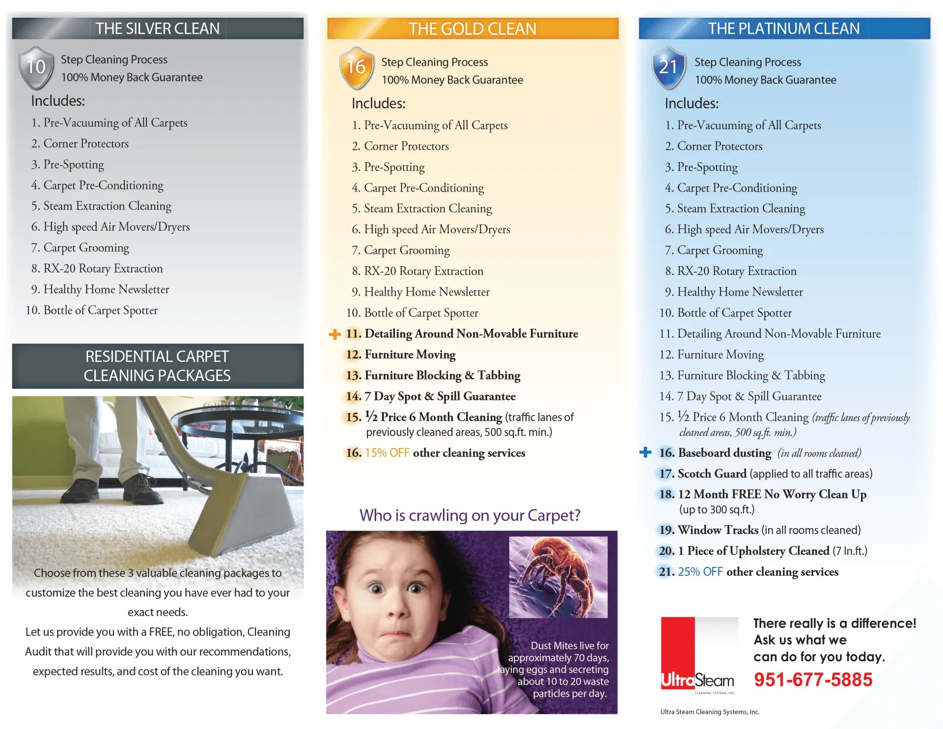 Expert Rug Cleaners Temecula Valley, CA Ultra Steam Cleaning