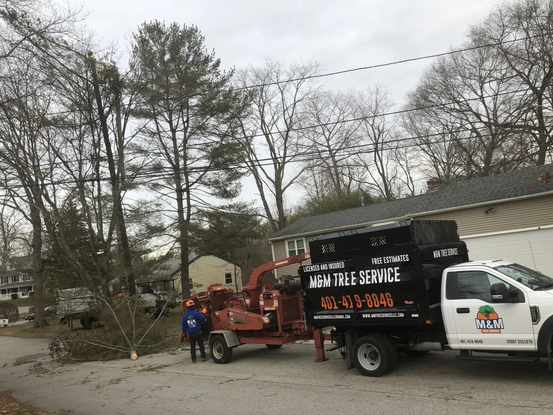 M&M Tree Service Tree Service Professional Tree Services 24/7