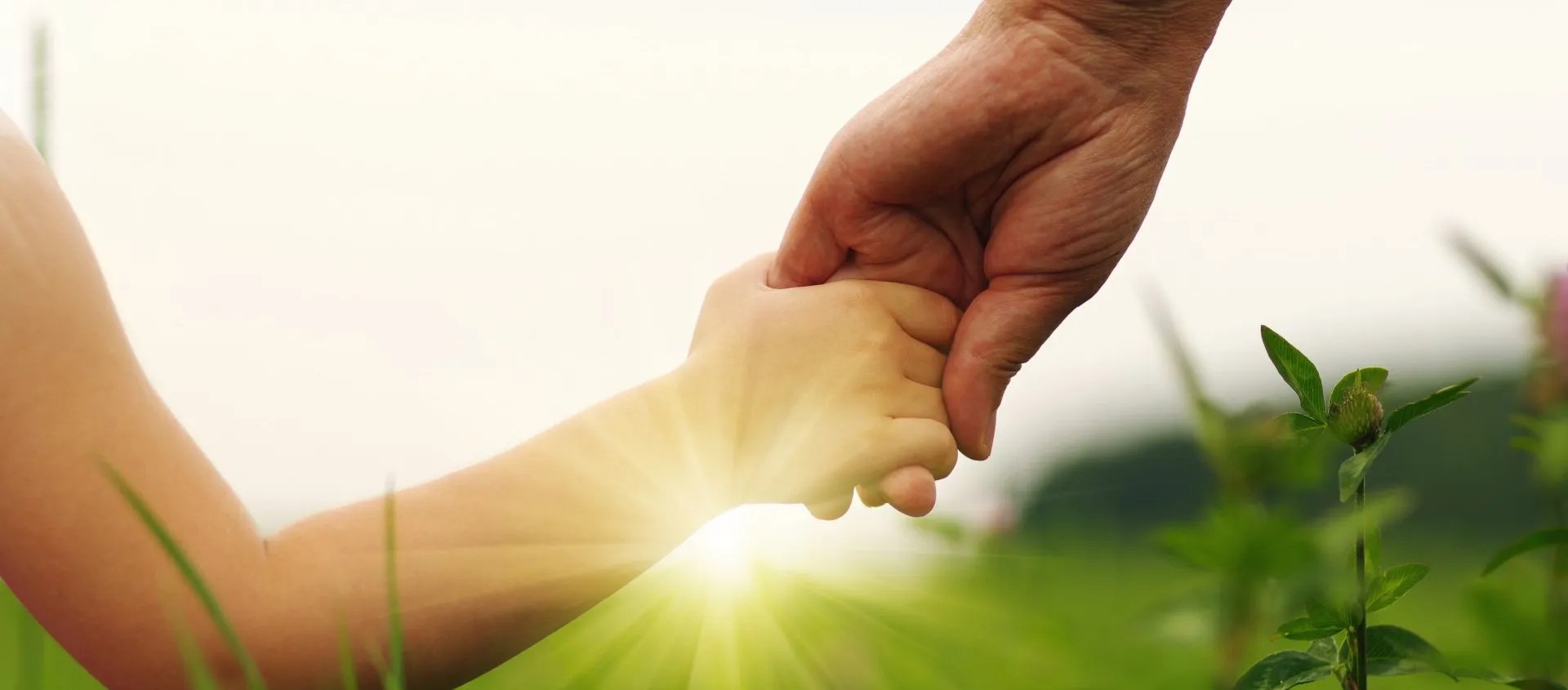 Stepparent Adoption Without the Consent of the Biological Father