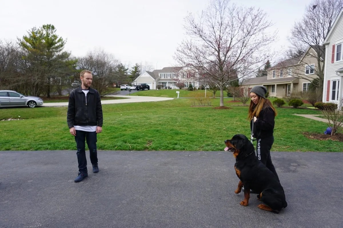 Making Man’s Best Friend Better Home Wagging Rights Dog Training