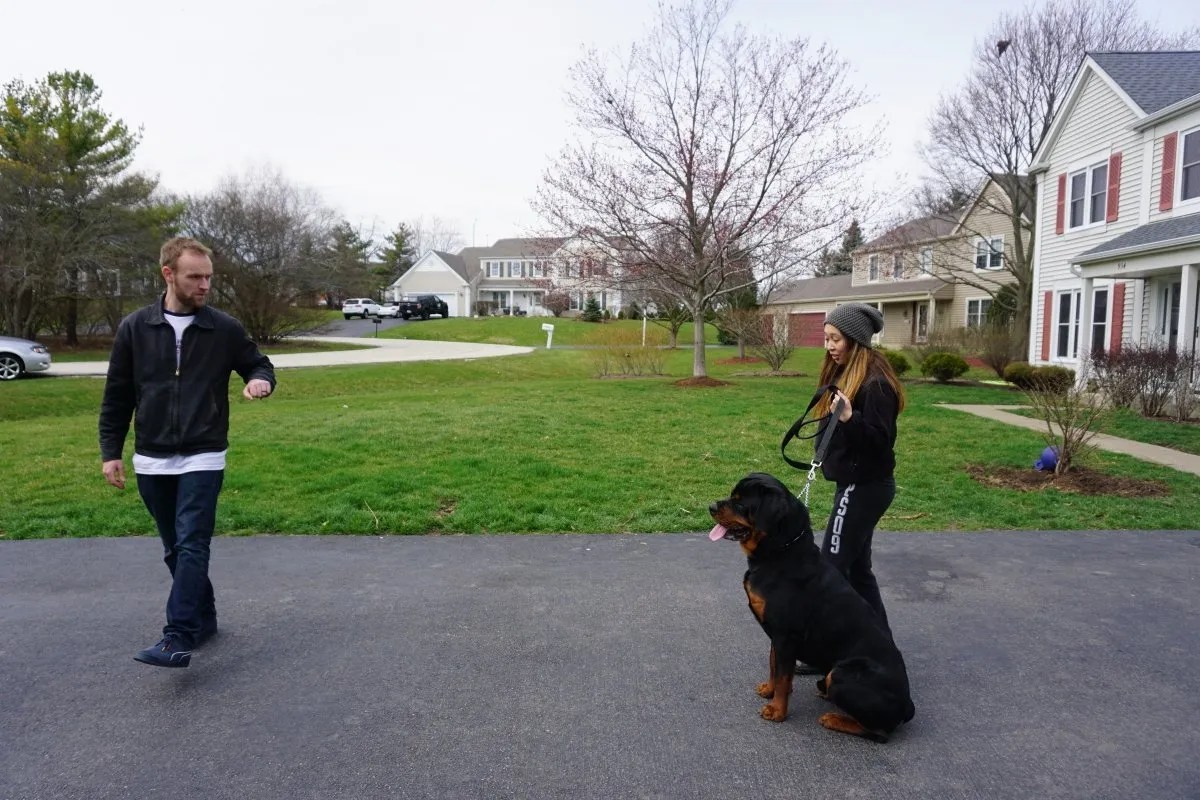 Making Man’s Best Friend Better Home Wagging Rights Dog Training