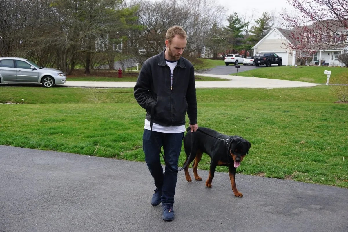 Making Man’s Best Friend Better Home Wagging Rights Dog Training