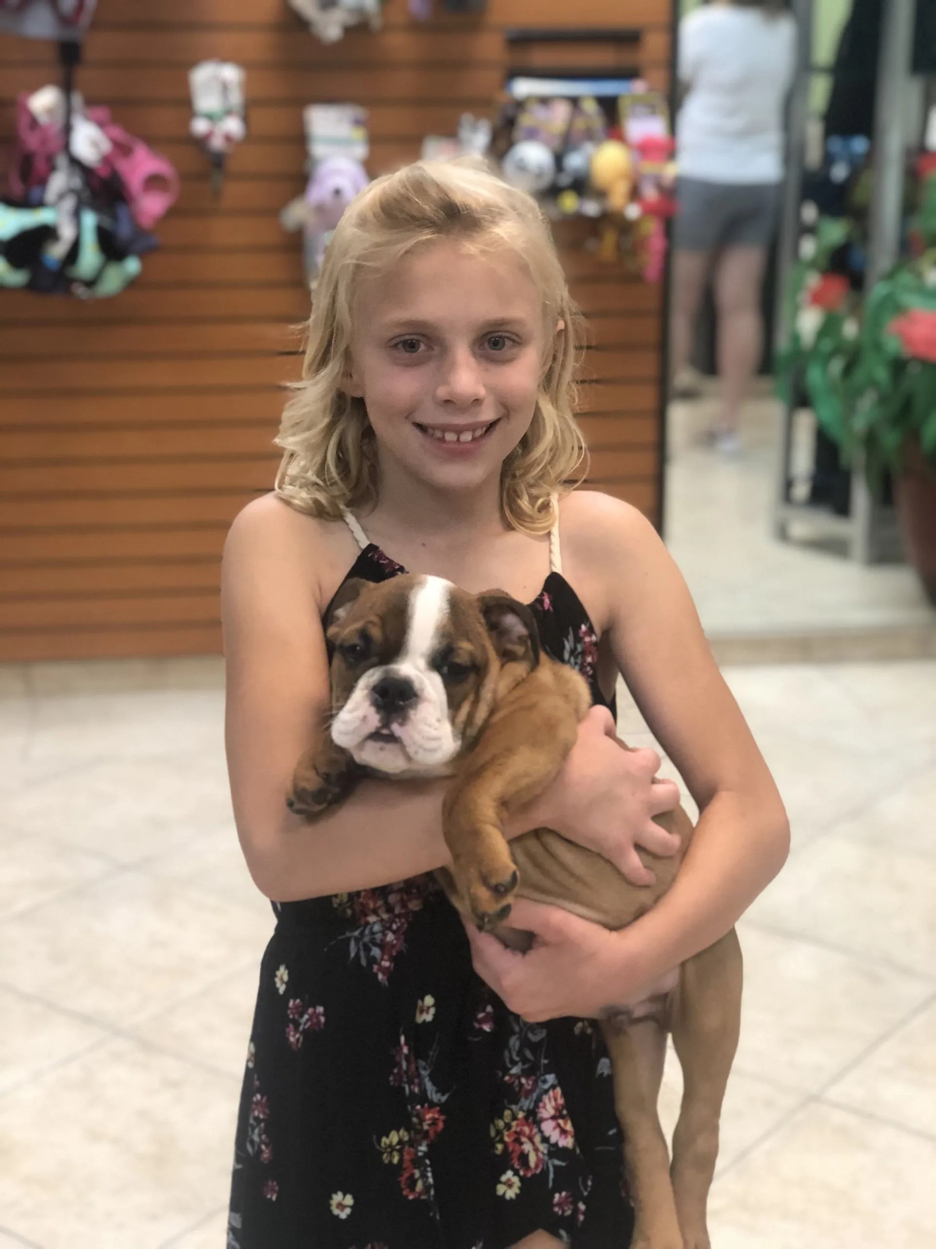 Puppies and Boutique Fort Myers, FL Lil Rascals Puppies