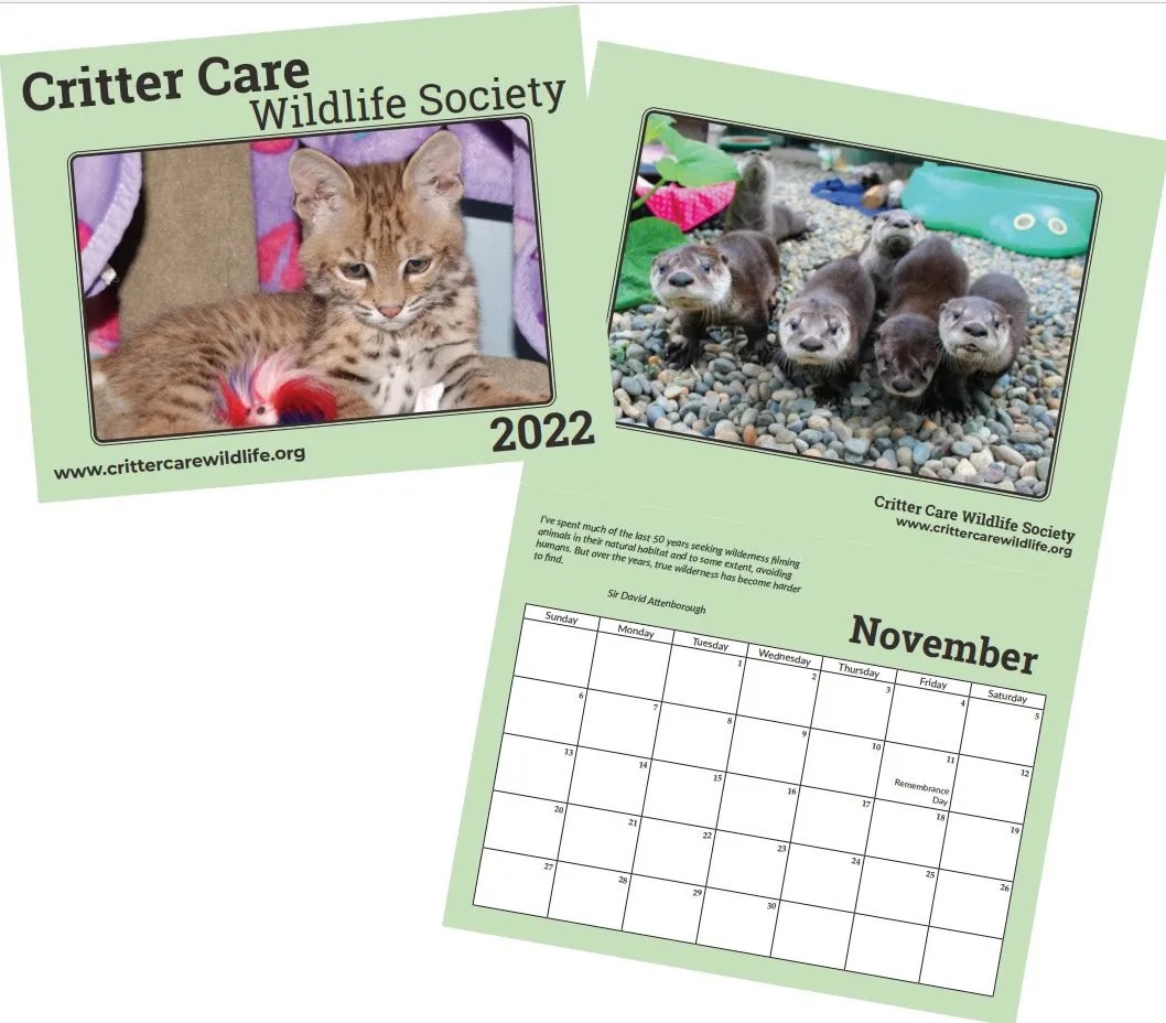 Aspca Calendar 2022 Savethehellfire On Twitter: "Big Thank You To The Wonderful Village Vets In Stillorgan Who Are Kindly Selling Our 2022 Calendar! Order Online Here: Https://T.co/Pszgw8Et4V #Supportlocal #Nature #Wildlife #Christmas #Gift Https://T.co/D4Rjnxisfa" / Twitter