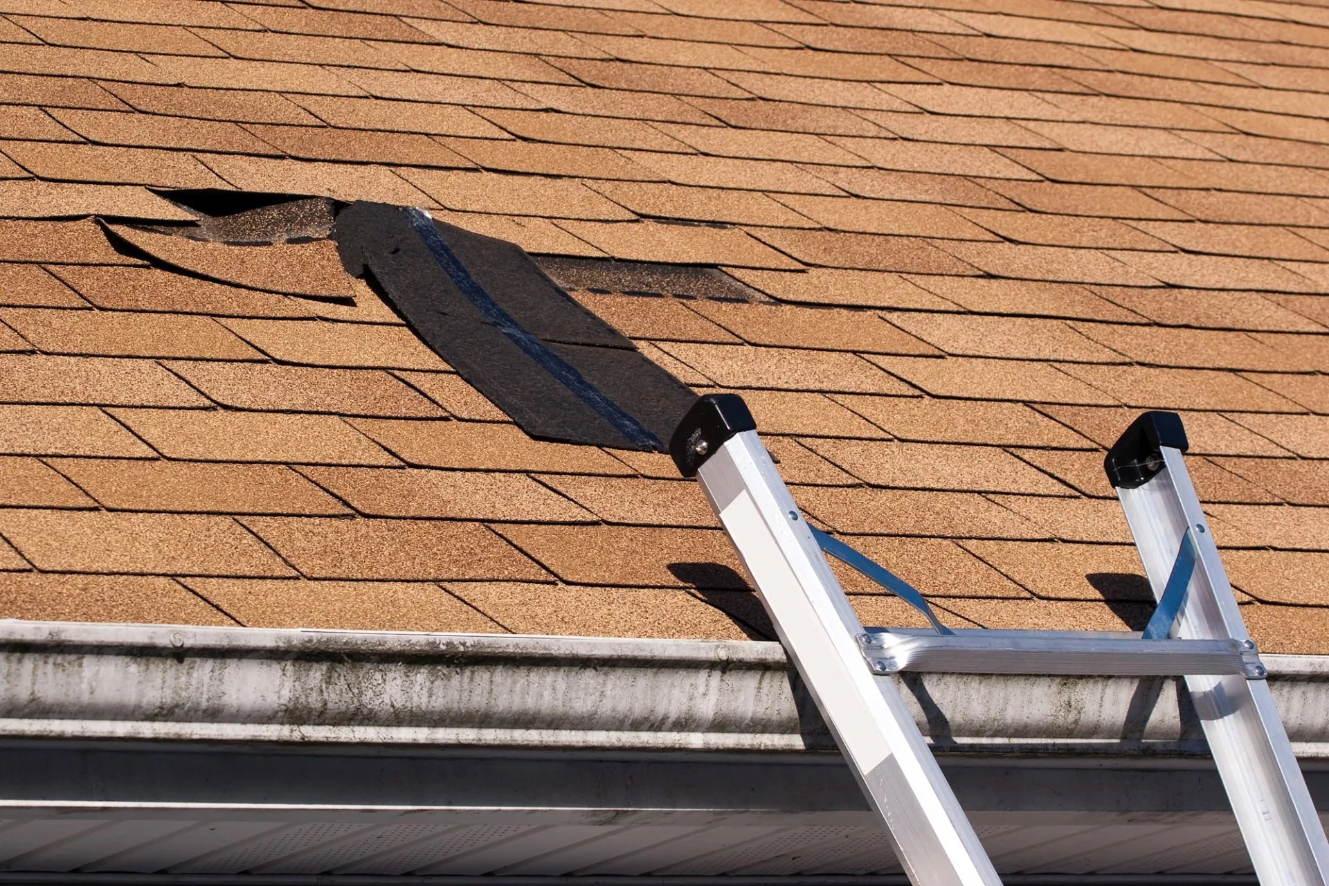 Roof Patch vs. Replacement — What to Do When You Discover a Leak