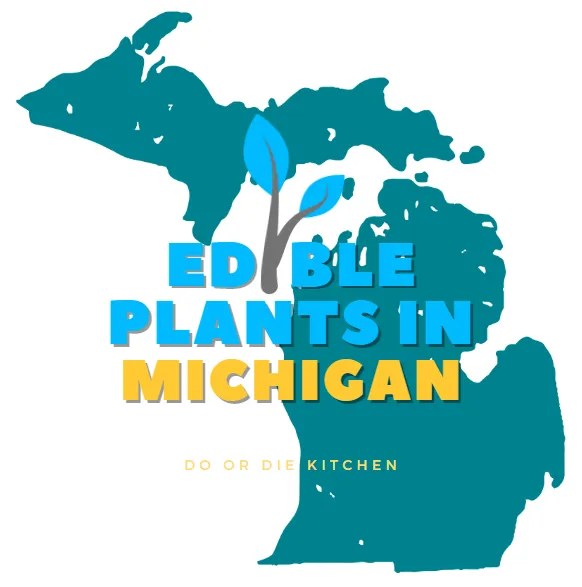 Edible Plants in Michigan [Forager's Guide for Beginners]