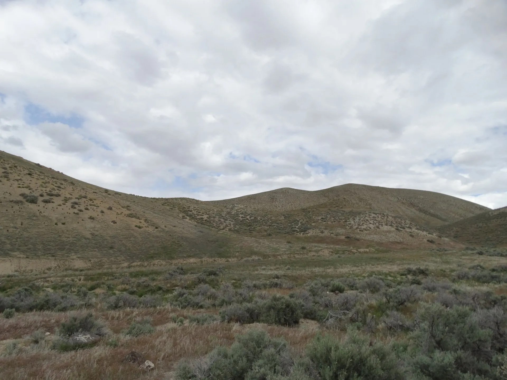 Nevada Land for Sale Hunting Land Mountain Land Acreage for Sale