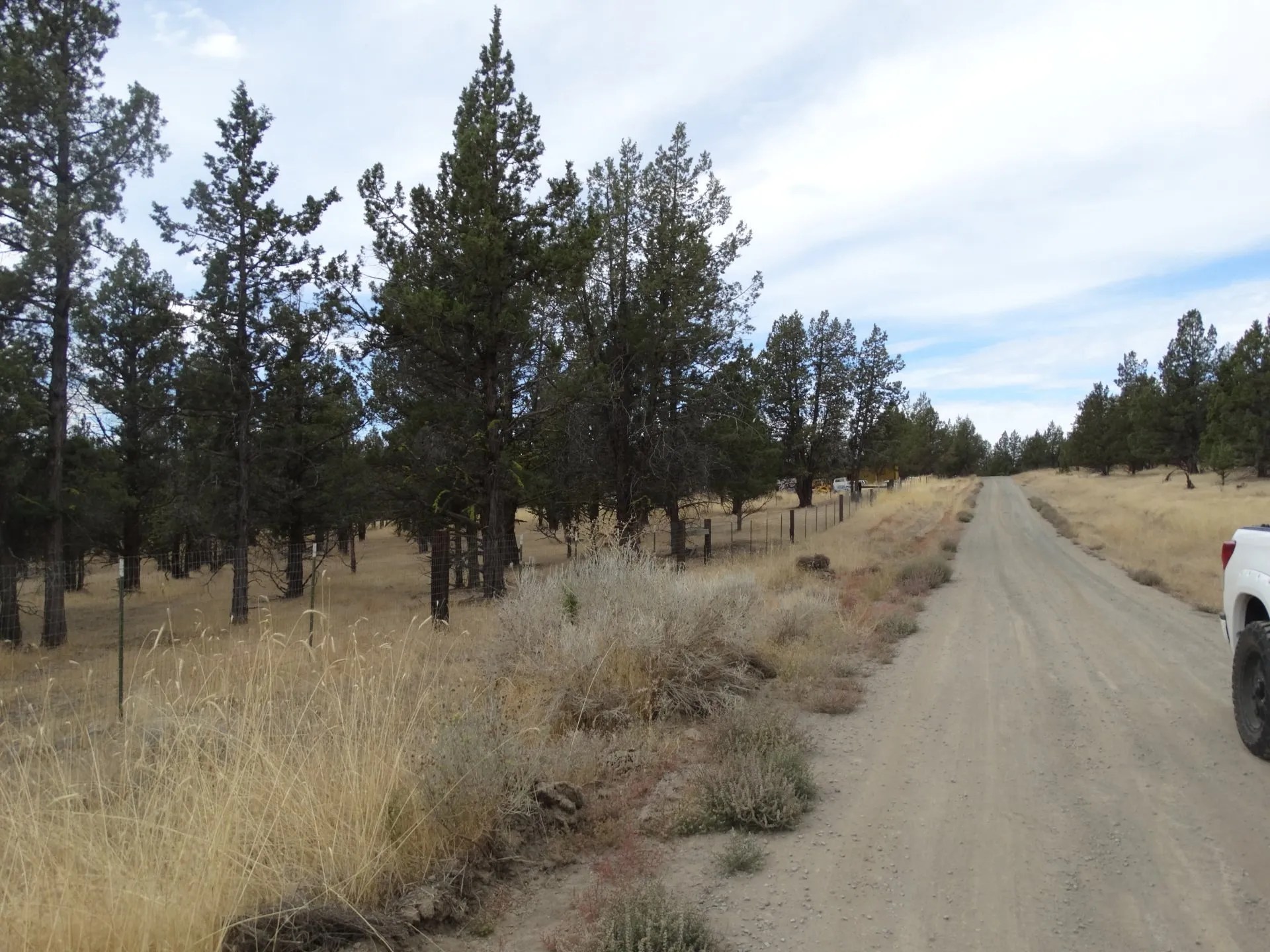 Rural Land for Sale Undeveloped Property Modoc Recreational Estates