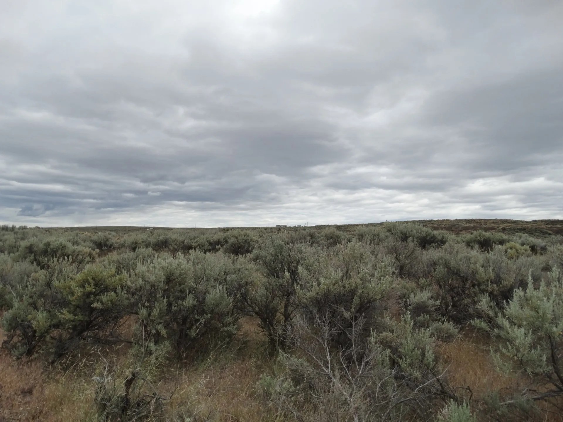 Washington Land for Sale Cheap land for sale Rimrock Meadows