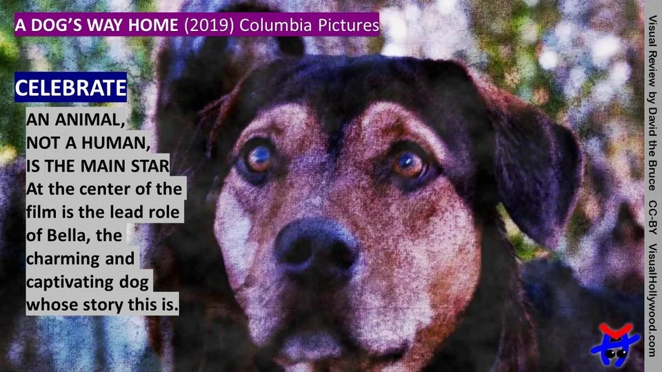 A DOG’S WAY HOME (2019) Visual Review