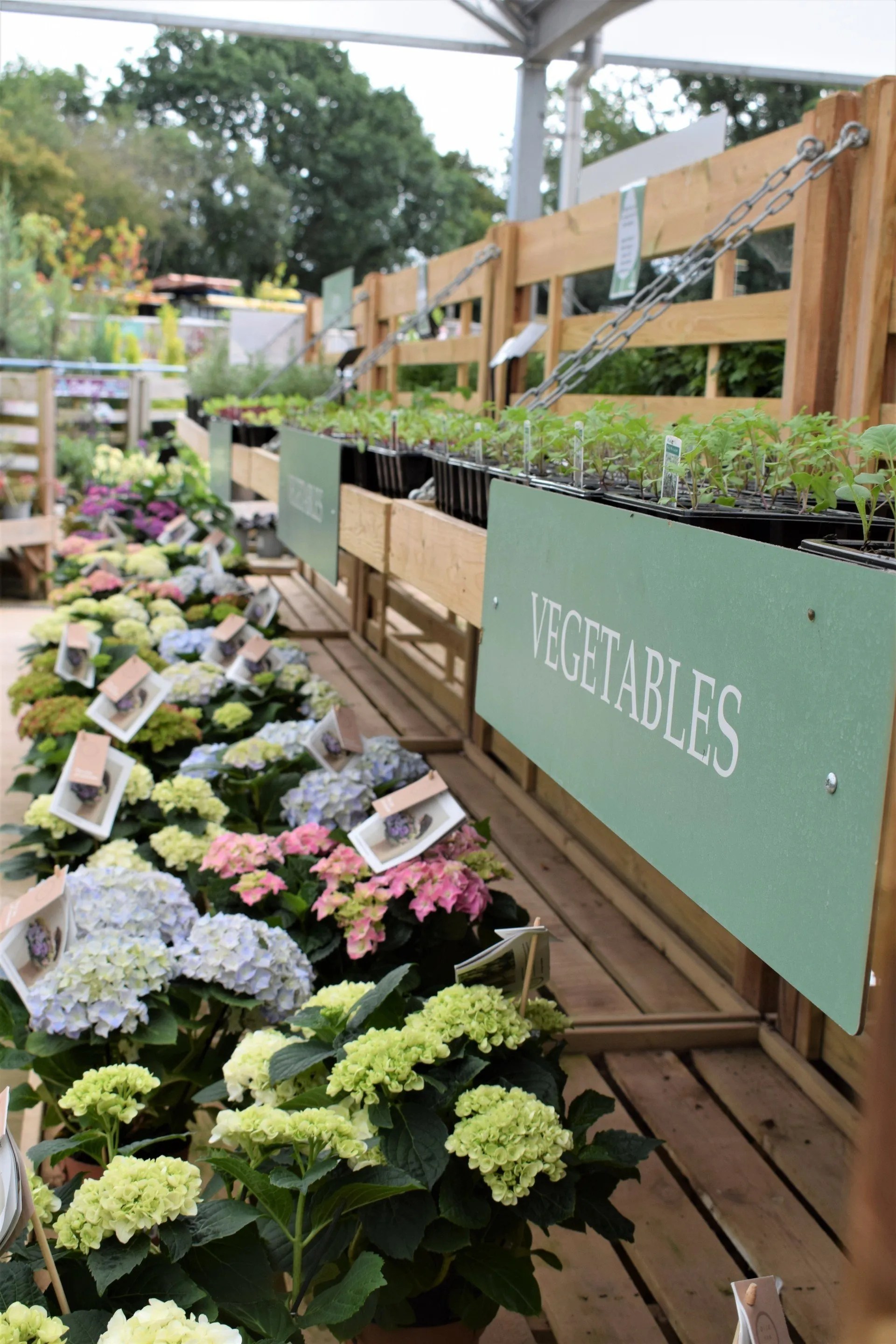 Combe Garden Centre Honiton, Devon Garden Centre