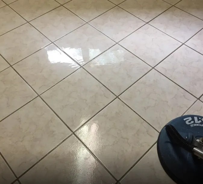 Carpet Cleaning Company Canton, OH Ace Carpet Cleaning Co.