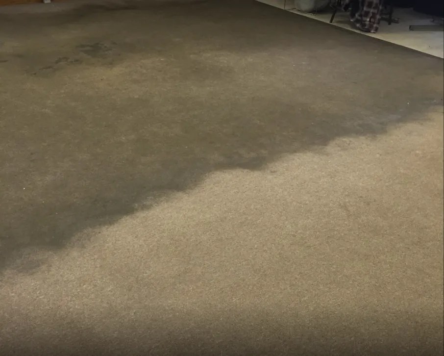 Carpet Cleaning Company Canton, OH Ace Carpet Cleaning Co.