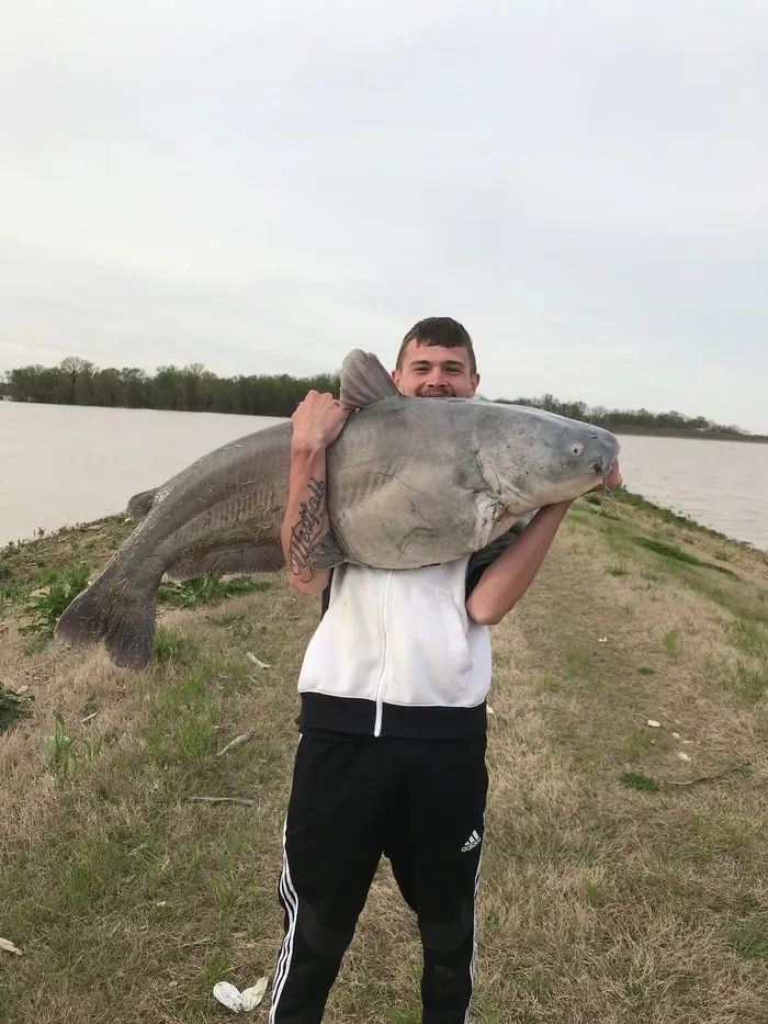 Bait Bucket Evansville, IN