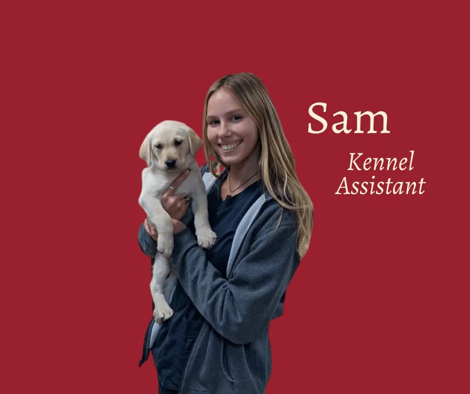 Meet Our Team Chipman Road Animal Clinic Lee's Summit, MO