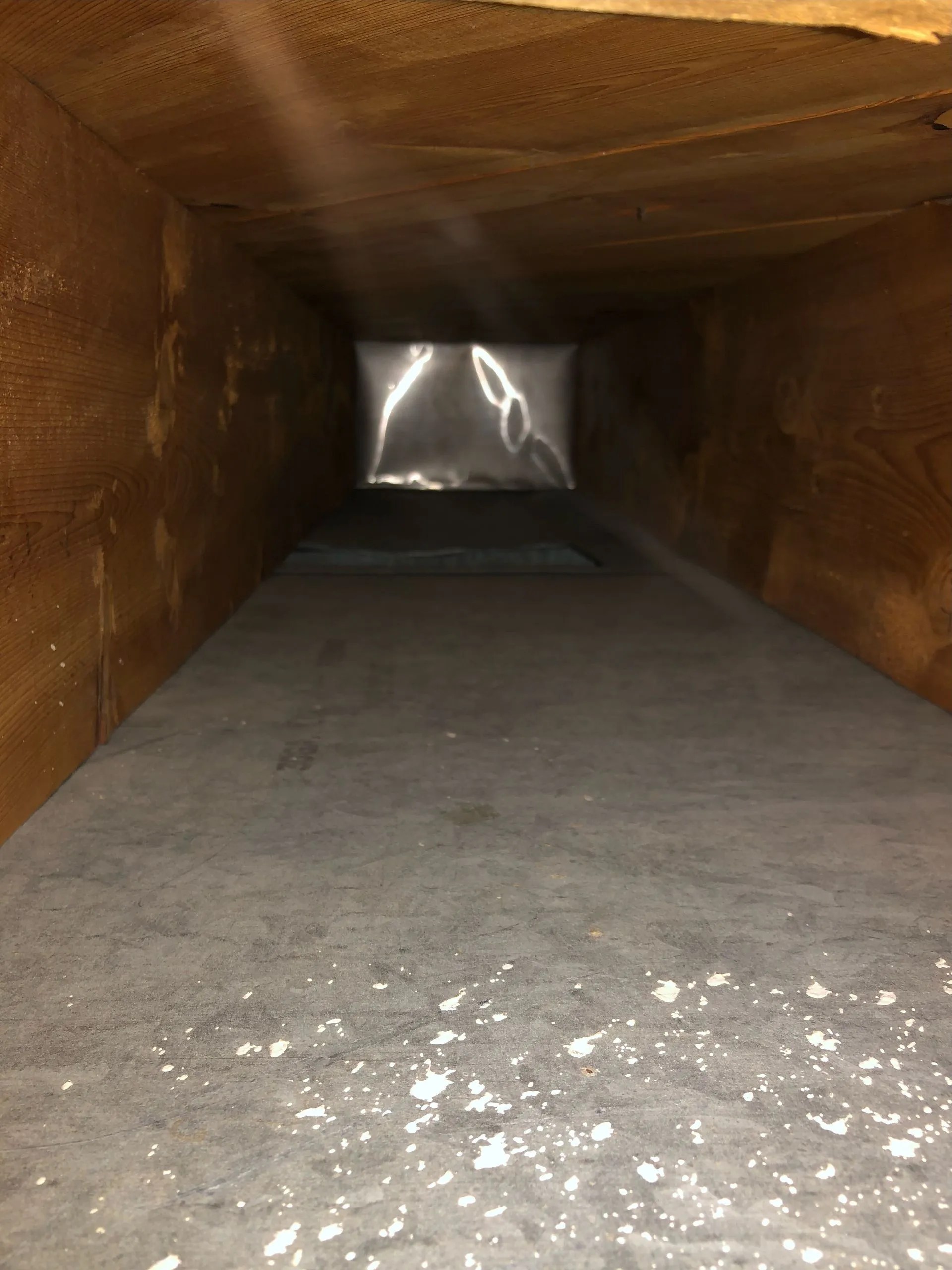 Carpet Cleaning Bismarck Mandan, ND SteamPro Cleaning