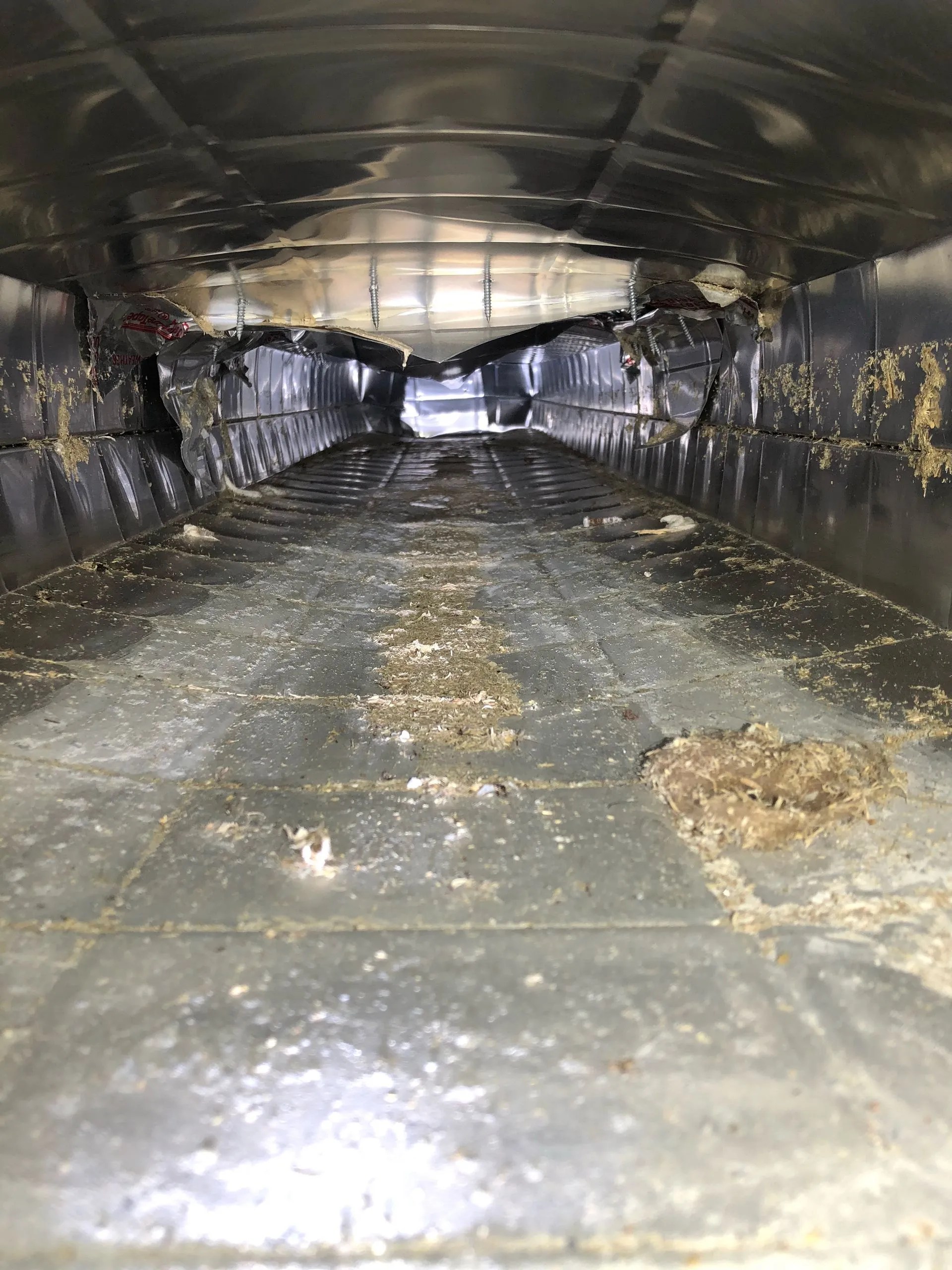 Carpet Cleaning Bismarck Mandan, ND SteamPro Cleaning