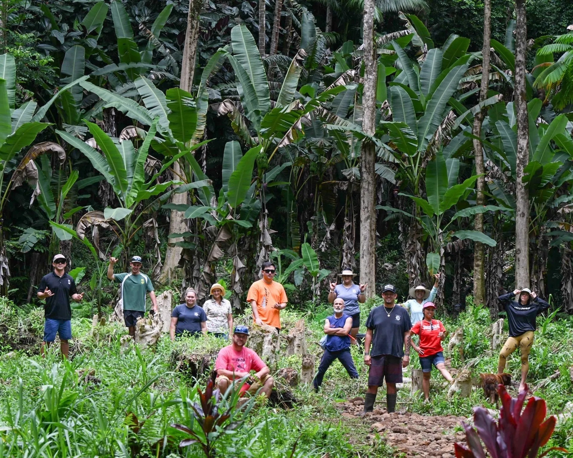 EAO Hawaii A Native Hawaiian Organization