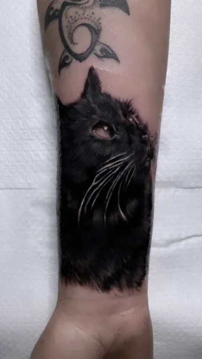 Tatuatori Professionisti | Legnano | Black Hall Tattoo Parlour 711_x_400_jpg